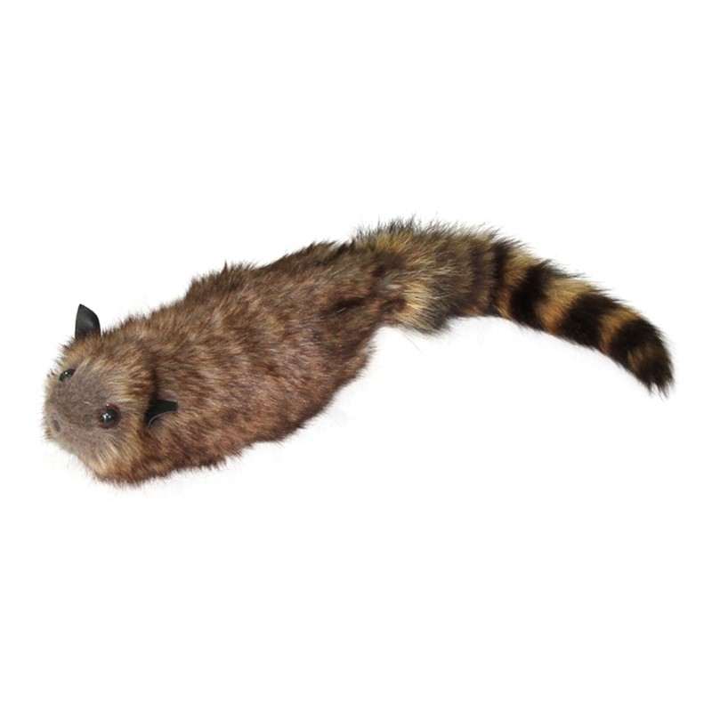 Novelty Simulation Raccoon Magic Trick Illusion Gimmick Magic Learner Preference