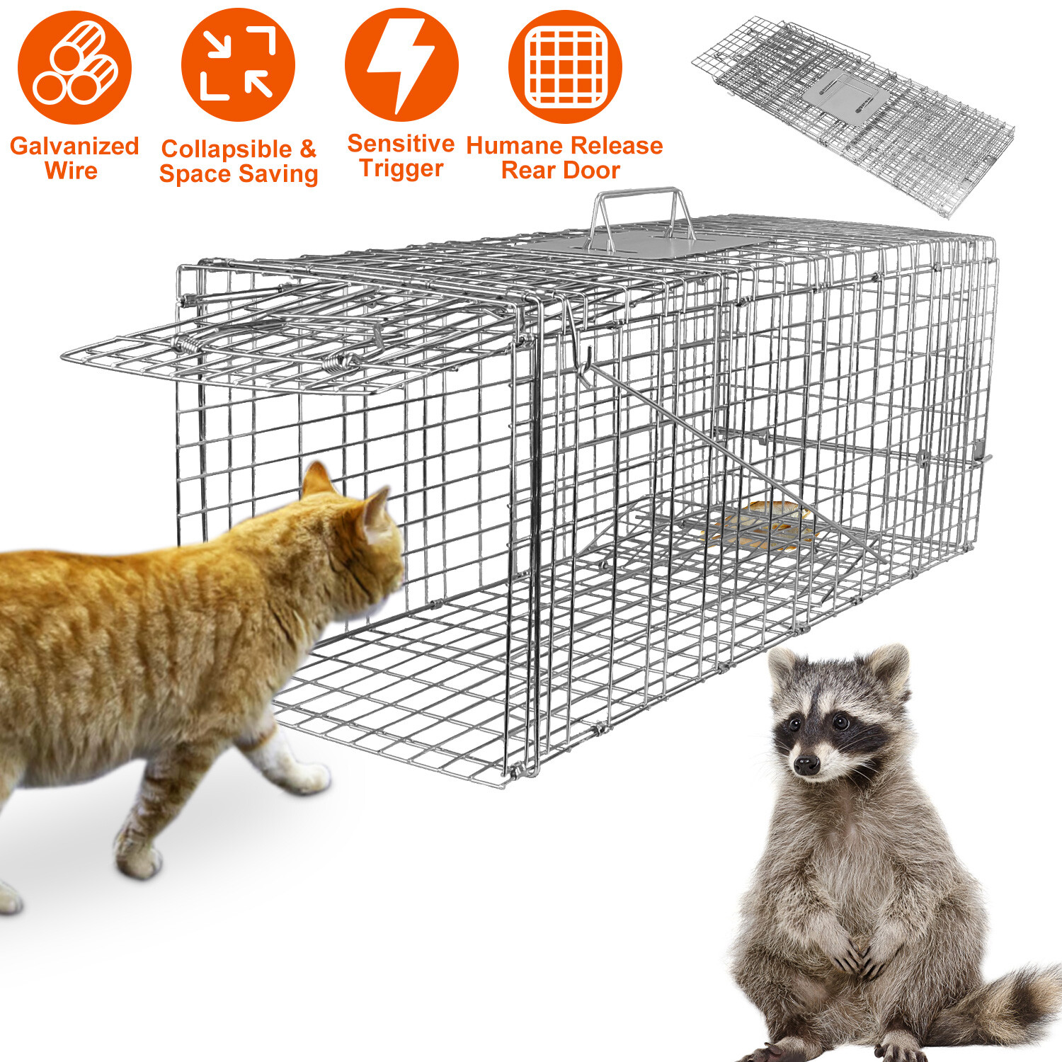 Humane Animal Live Trap Raccoon 32"x12.5"x12" Large Steel Cage Trapping Supplies