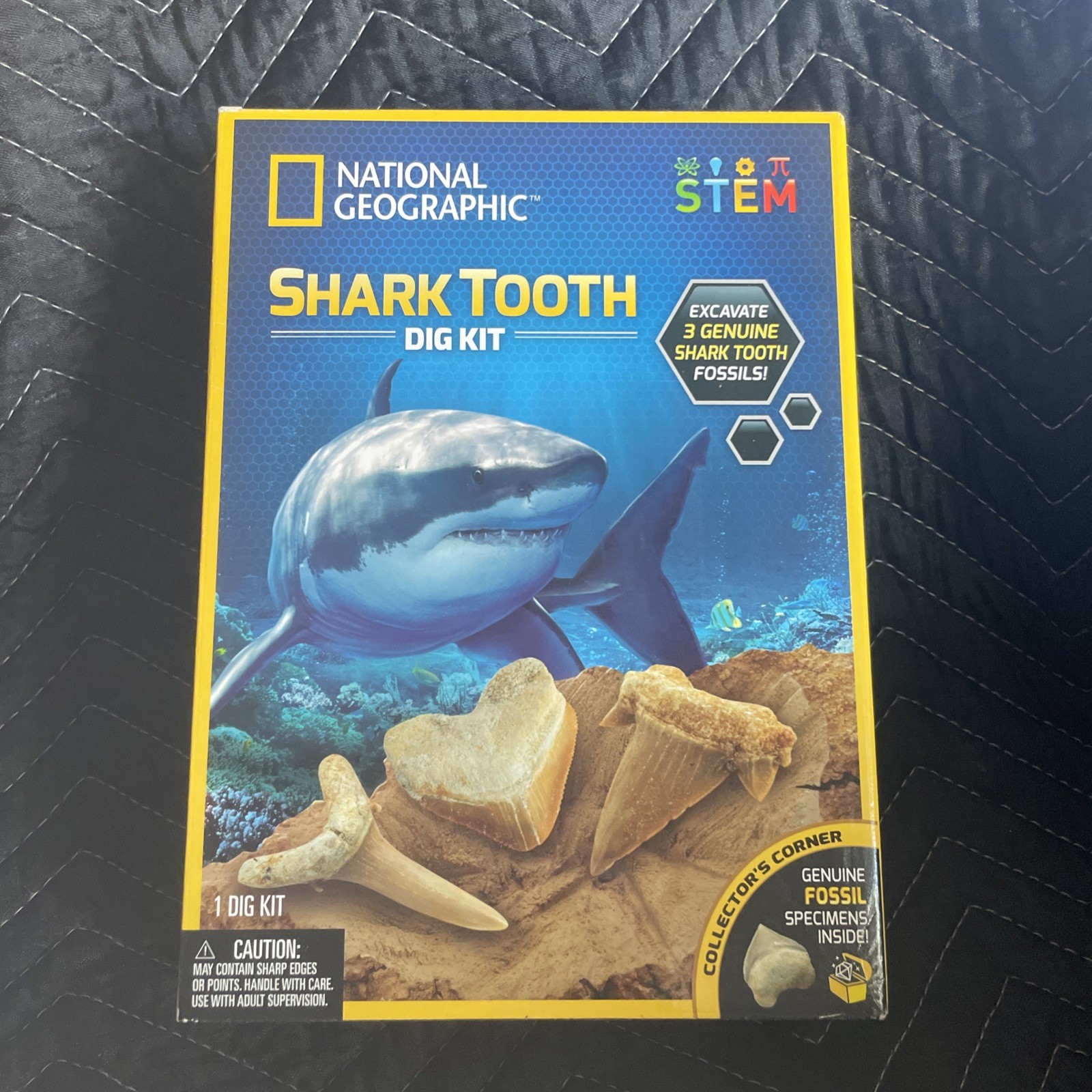 New! NATIONAL GEOGRAPHIC Shark Tooth Dig Kit, Excavate 3 Real Shark Fossils STEM