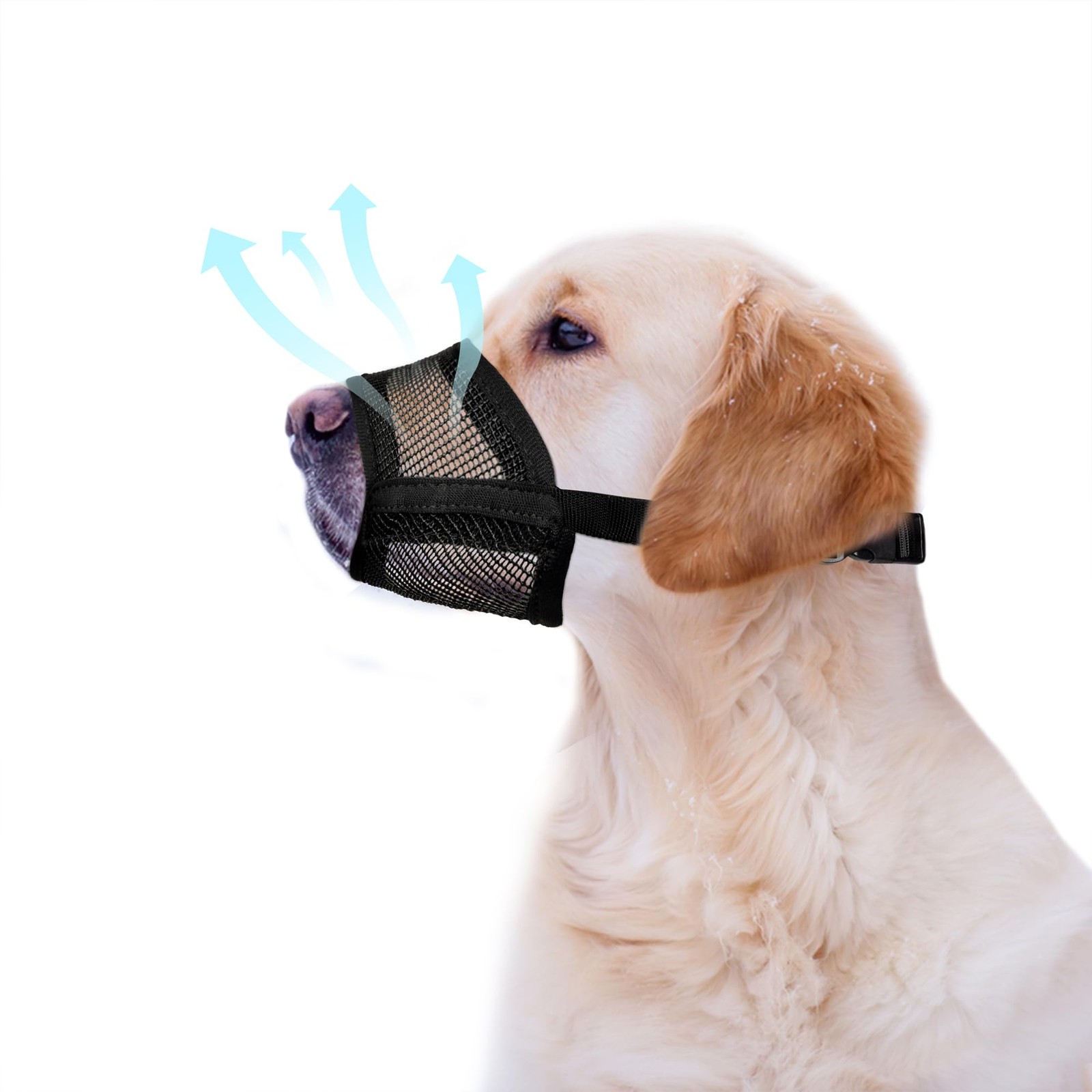 Evollax Dog Muzzle Medium Sized Dogs – Soft Air Mesh Muzzle Medium