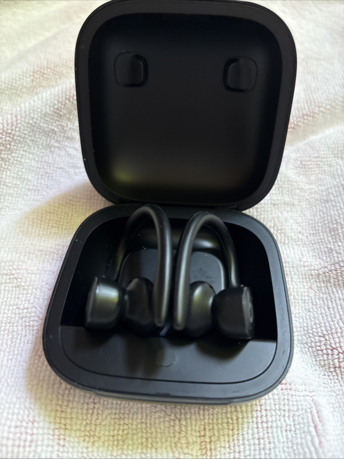 Beats Powerbeats Pro True Wireless Ear-Hook Earbuds w/ Case, Mic, Black