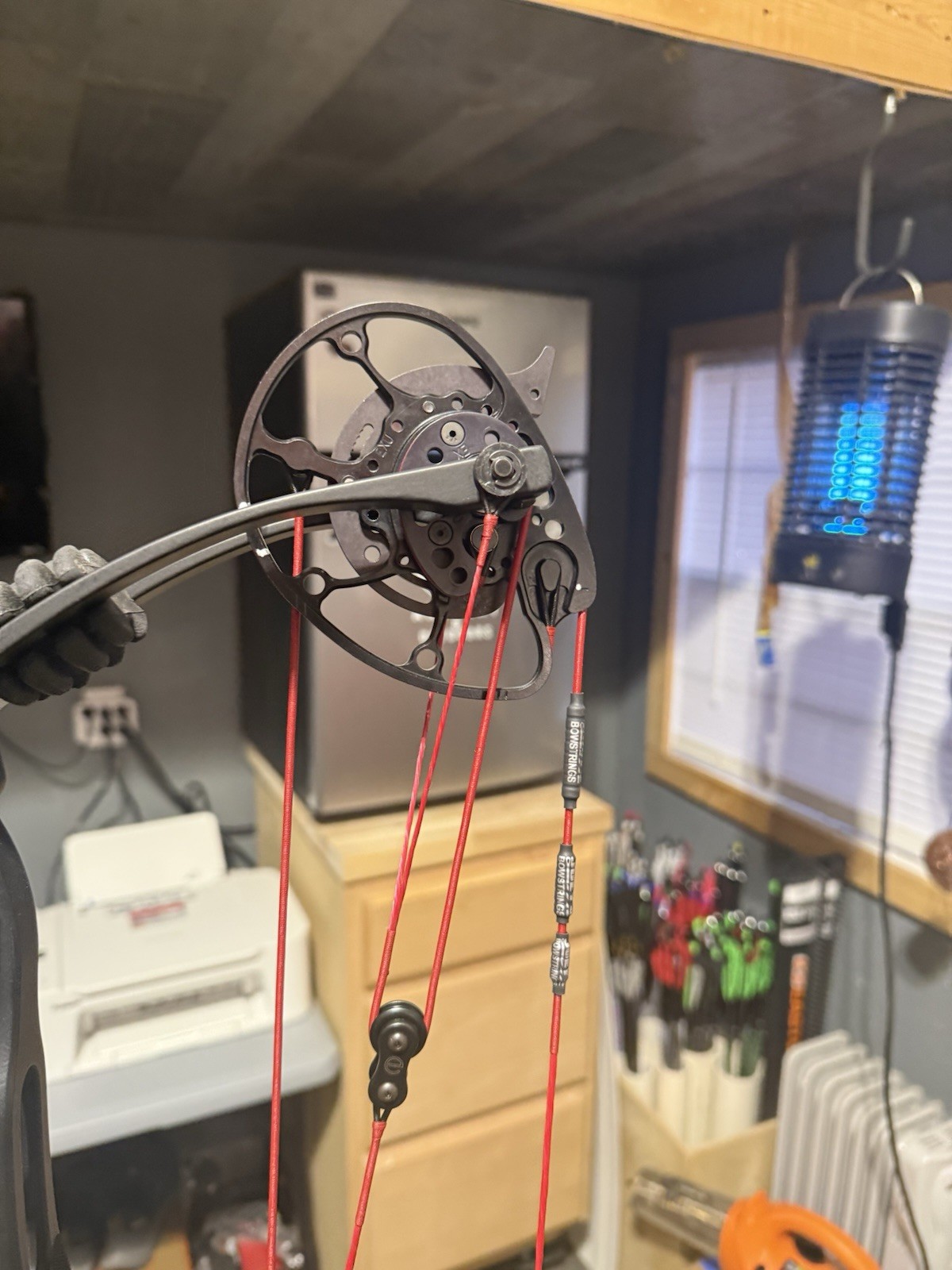Darton Departure Compound Target Bow 60#Bllack Right-Handed