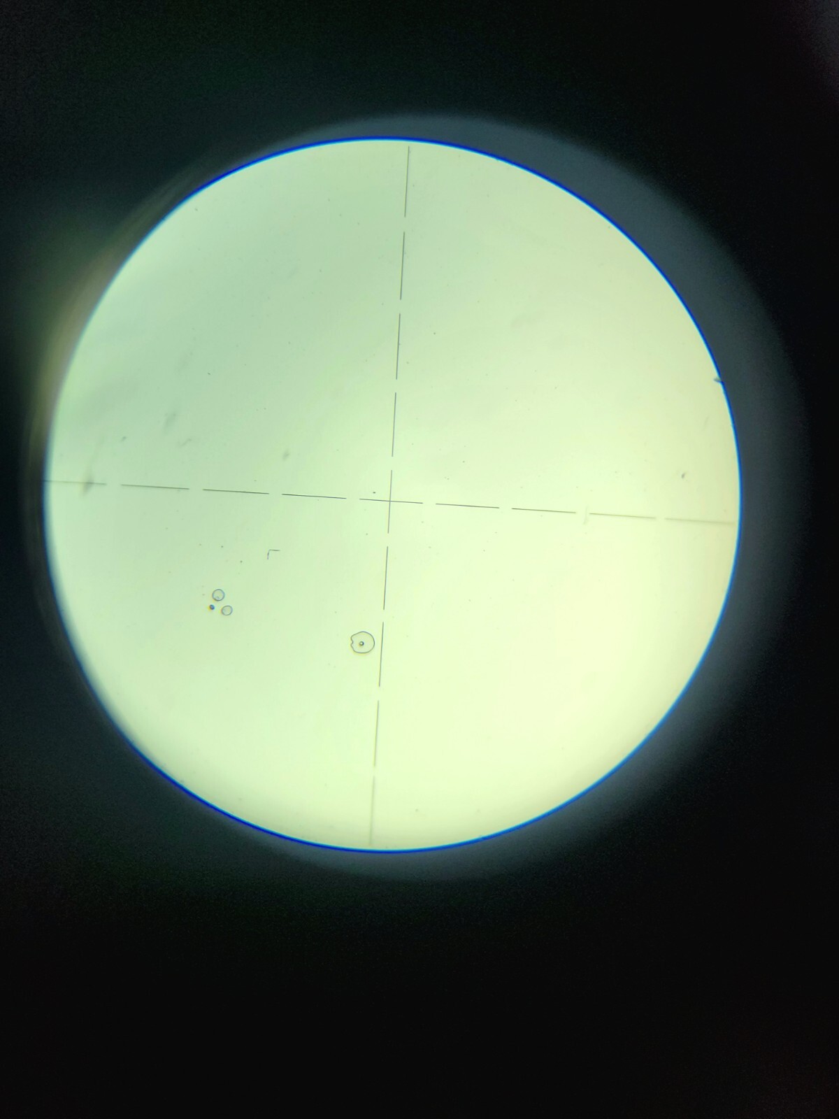 Leitz Wetzlar Measuring Microscope