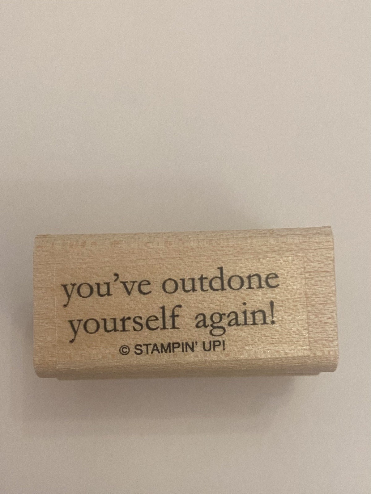 New Stampin Up! You’ve Outdone Yourself Again! Wood Mounted Rubber Stamp RS85