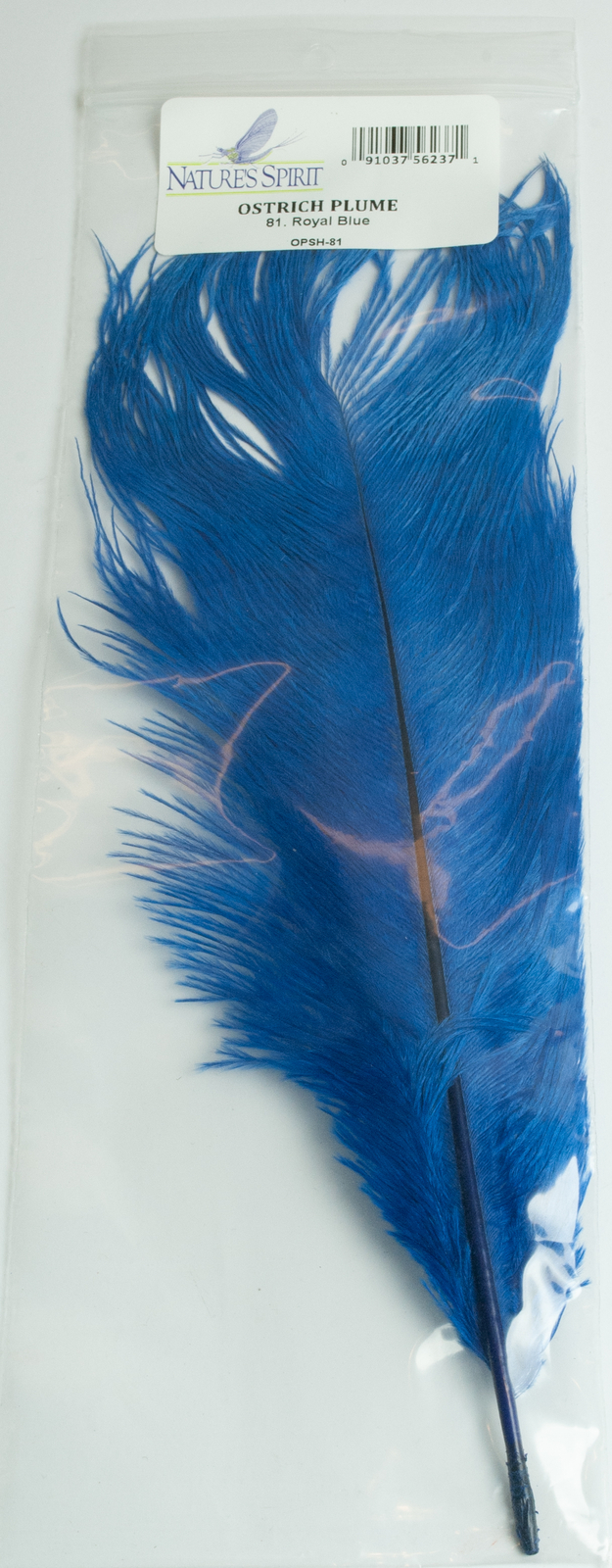 Natures Spirit Ostrich Plume, 10" to 12"