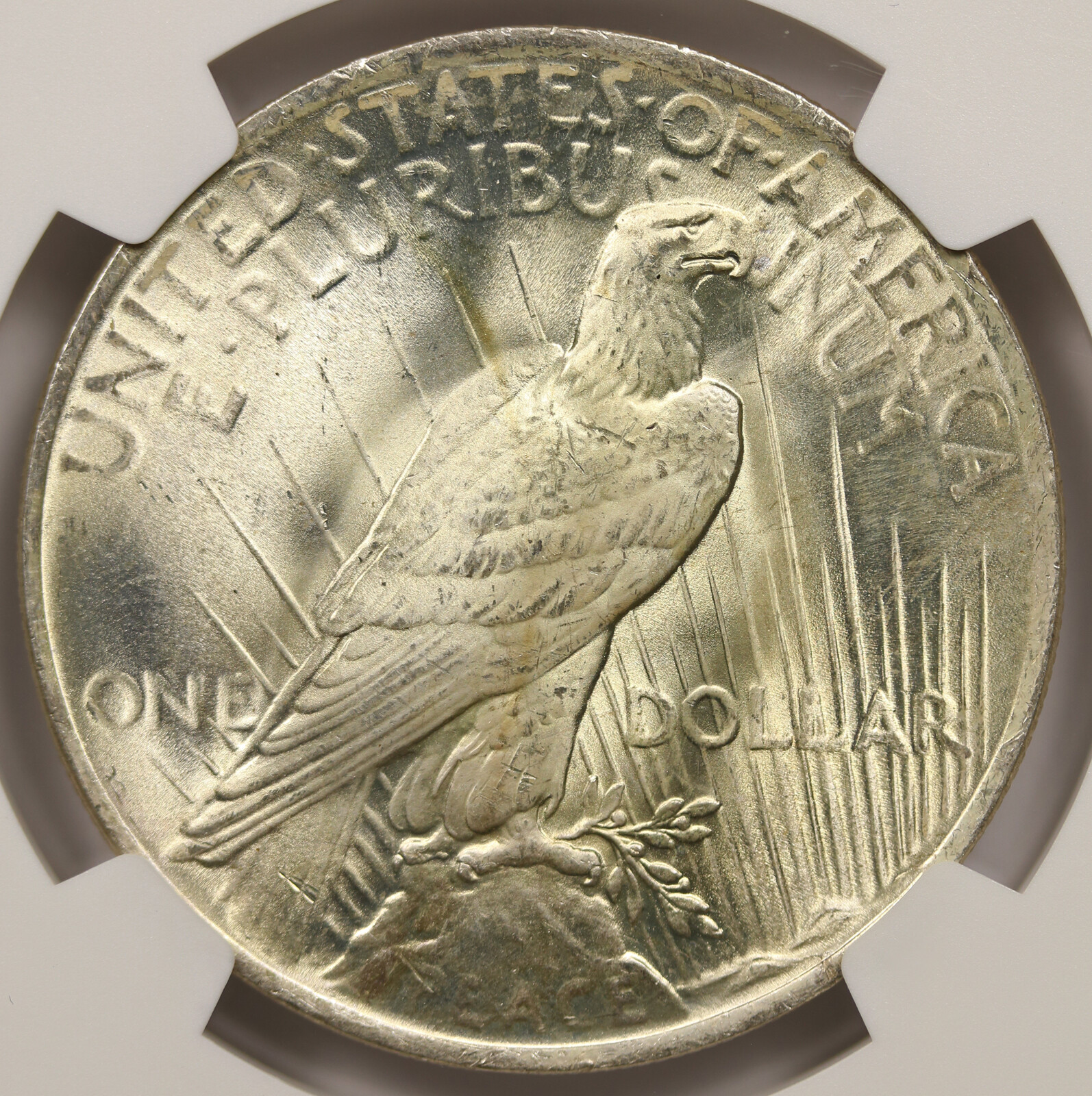 1923 Peace Dollar Silver $1 MS 66 NGC