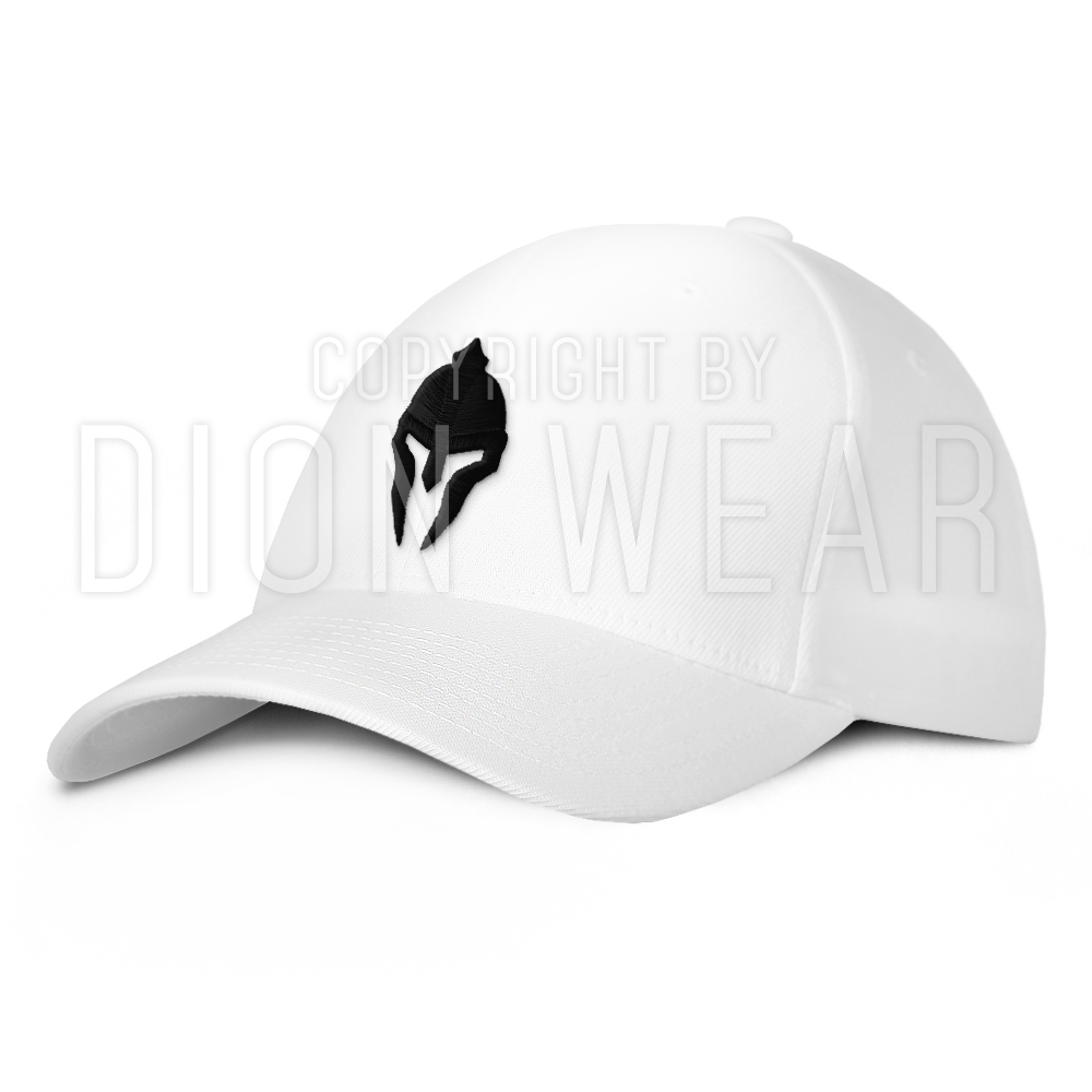 Spartan Warrior Molon Labe Military Baseball Hat