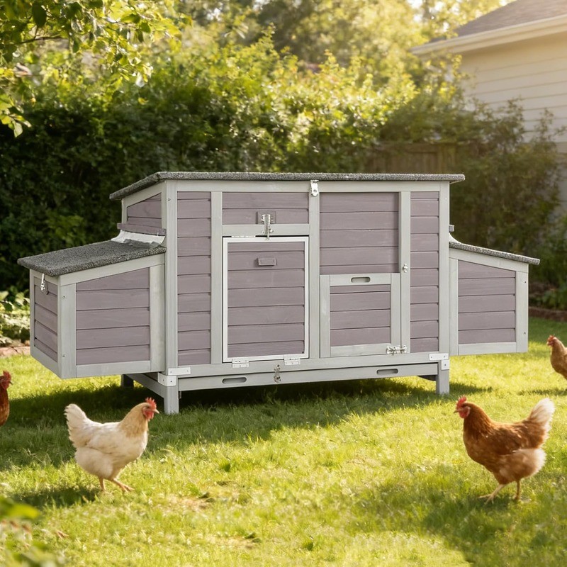Chicken Coop for 4-6 Chickens with Nesting Box Predator Proof Outdoor Hen House