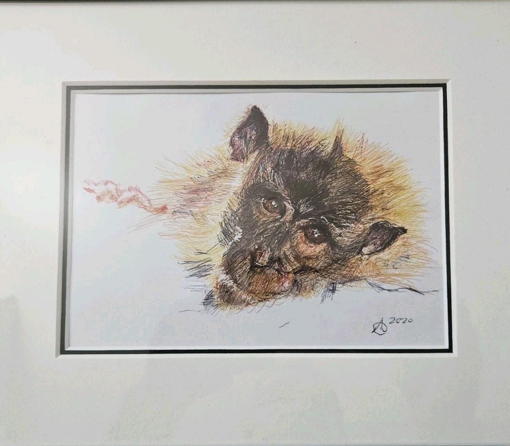 Original Colored Ball Point Pen Drawing Young Guinea Baboon Matted Framed 8x10
