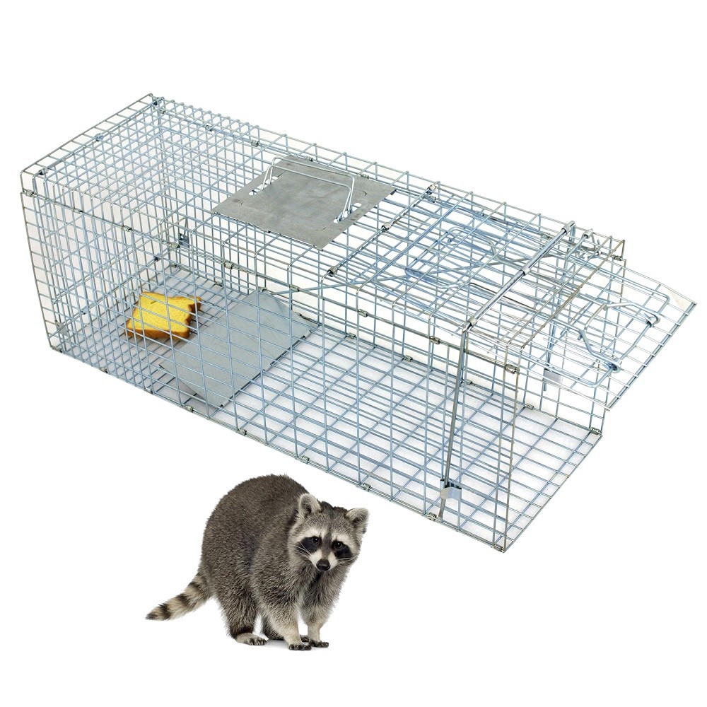 Animal Trap Steel Cage for Small Live Rodent Rat Squirrel Raccoon Iron 32" x 12“