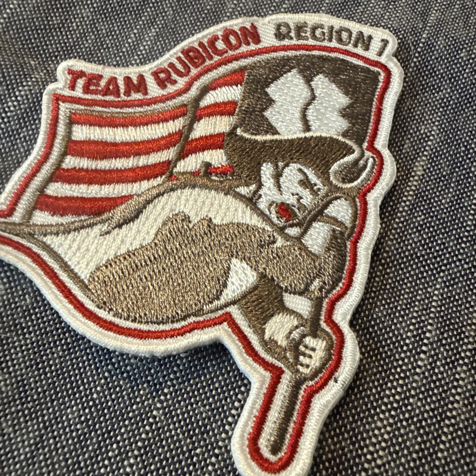 Team Rubicon Region 1 Patch