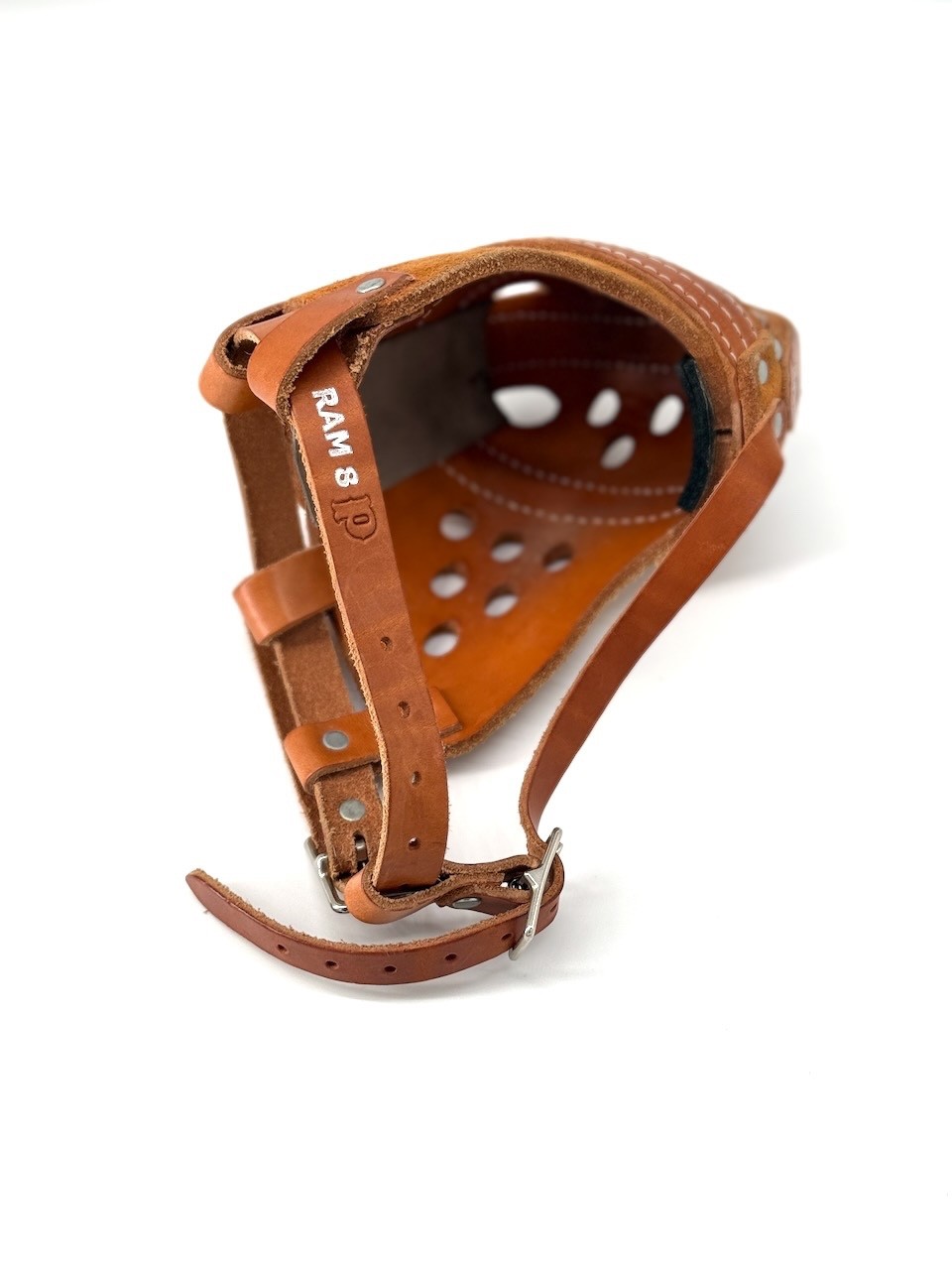 Dog RAM 8 Collar Muzzle Ray Allen Manufacturing