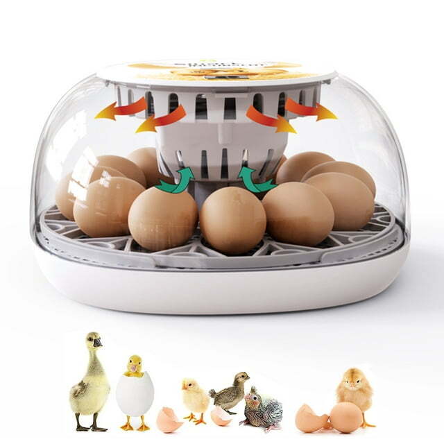 12 Egg Incubator for Hatching Eggs with Automatic Egg Turning Temperature