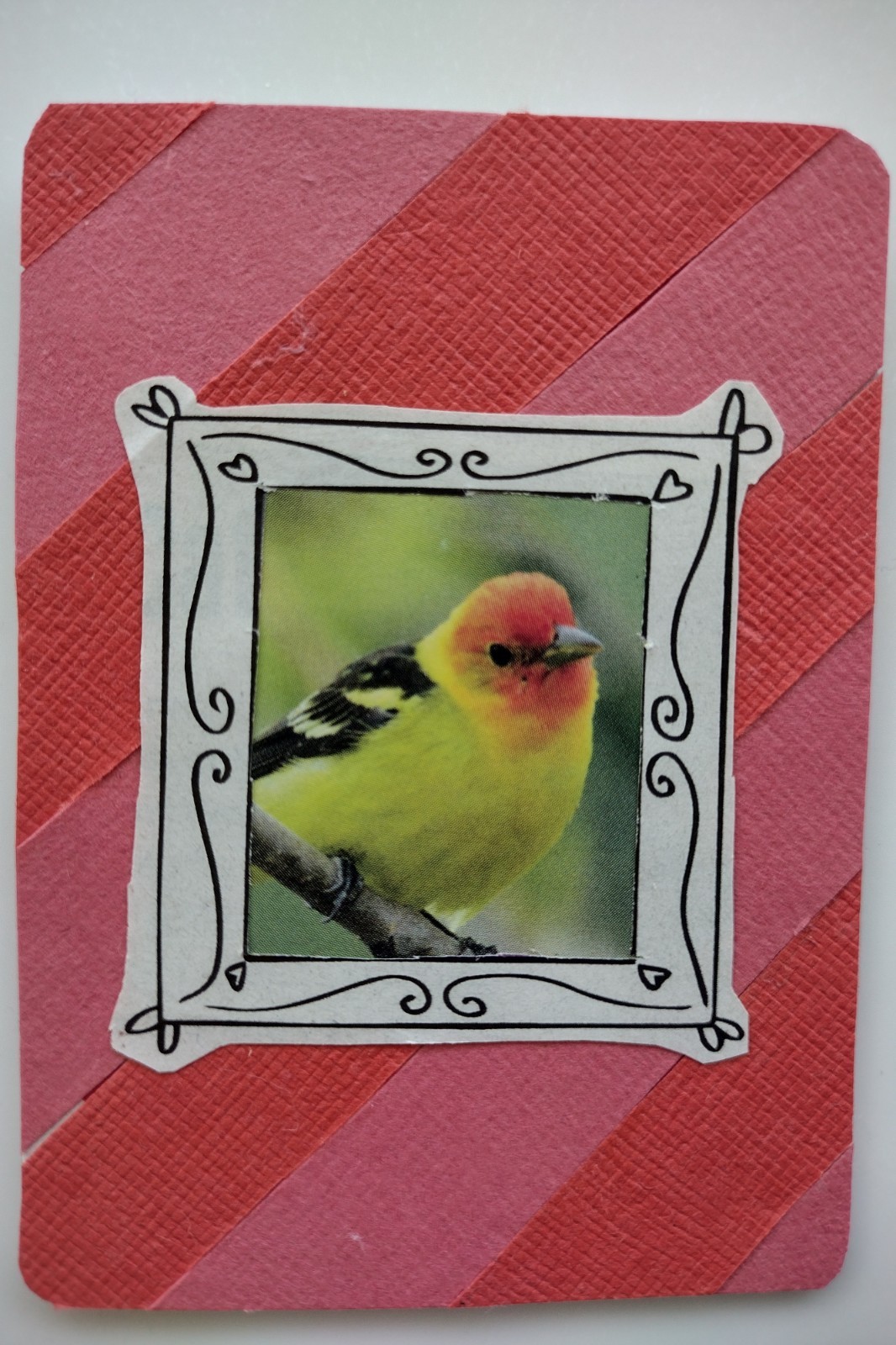 Handmade ACEO Card, Bird Collage, Pink Striped Background, Whimsical Framing