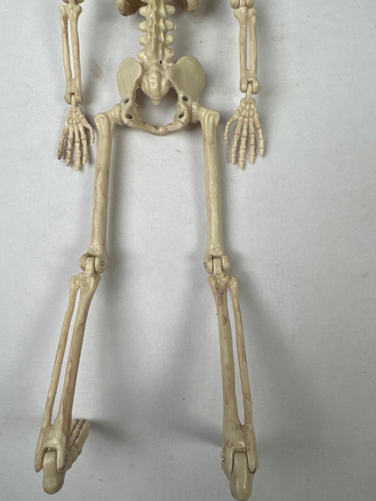 16" Poseable Plastic Skeleton Decoration, Movable Joints, Hanging Loop