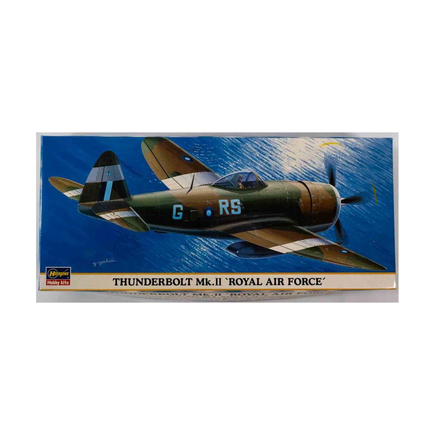 Hasegawa Airplane Model 1:72 Thunderbolt Mk. II Royal Air Force VG+/NM