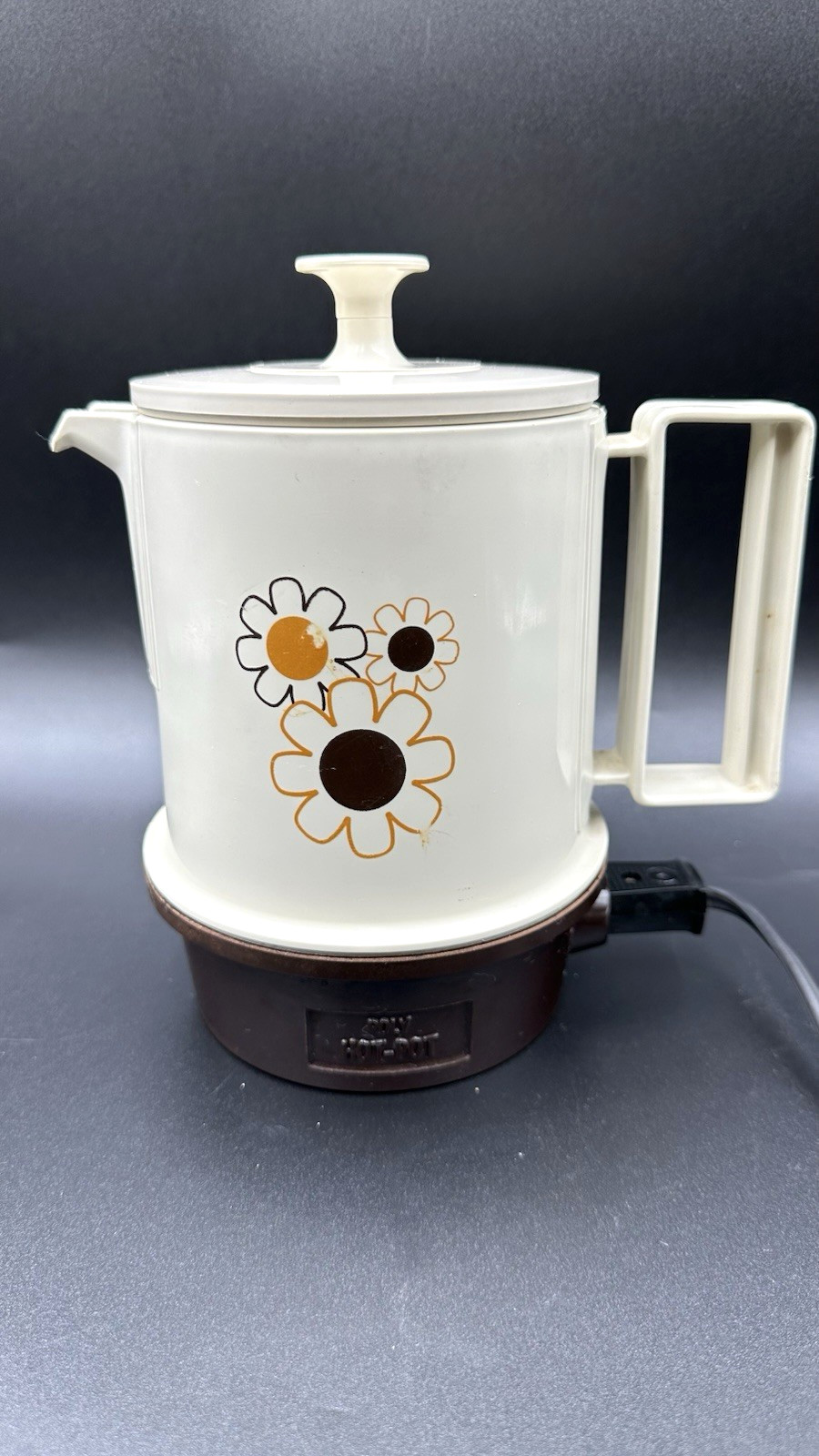 Vintage Daisy Pattern Regal Electric 5 Cup Poly Hot Pot