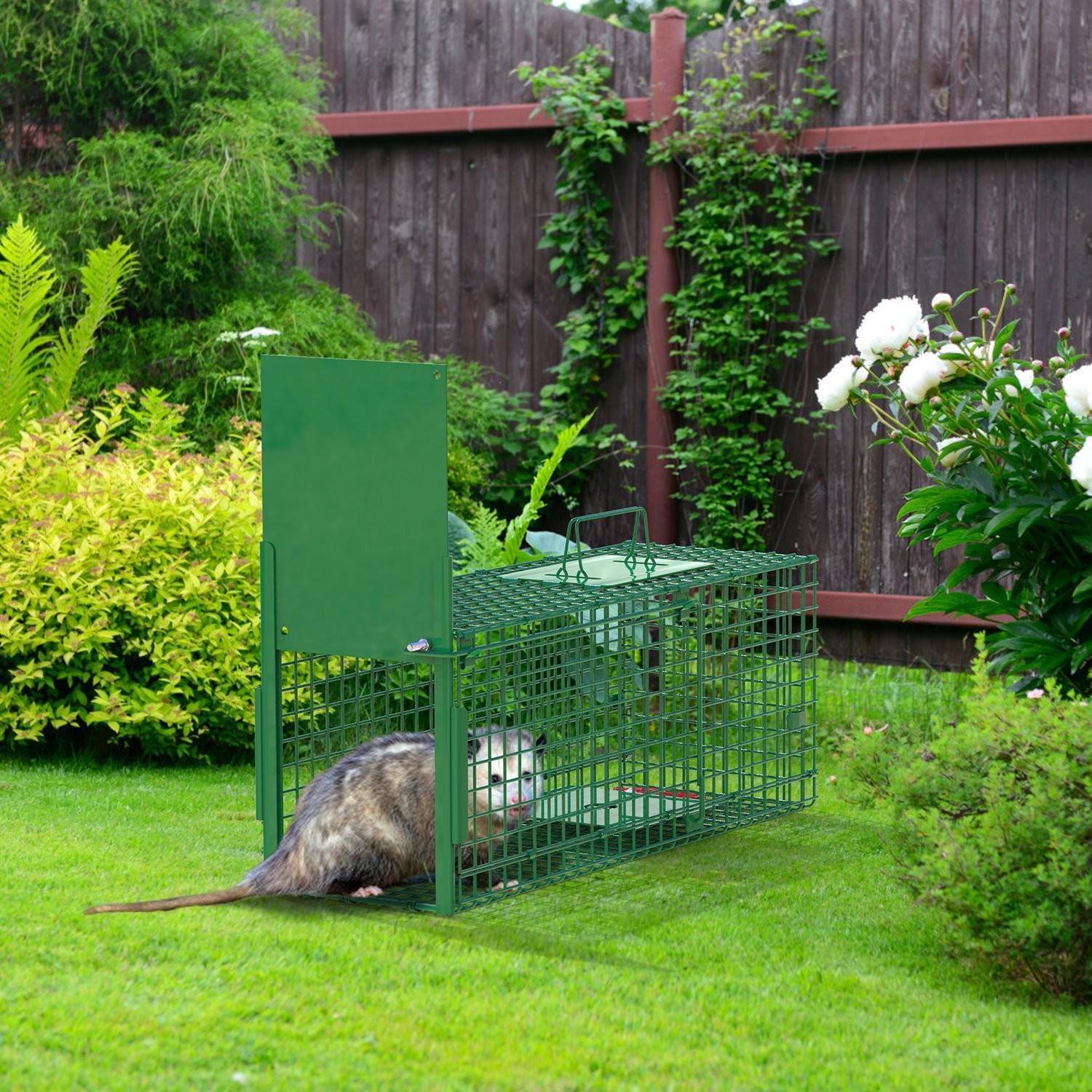26/40" Heavy Duty Folding Humane Cat Trap Cage Live Animal Raccoons Rodent Cage
