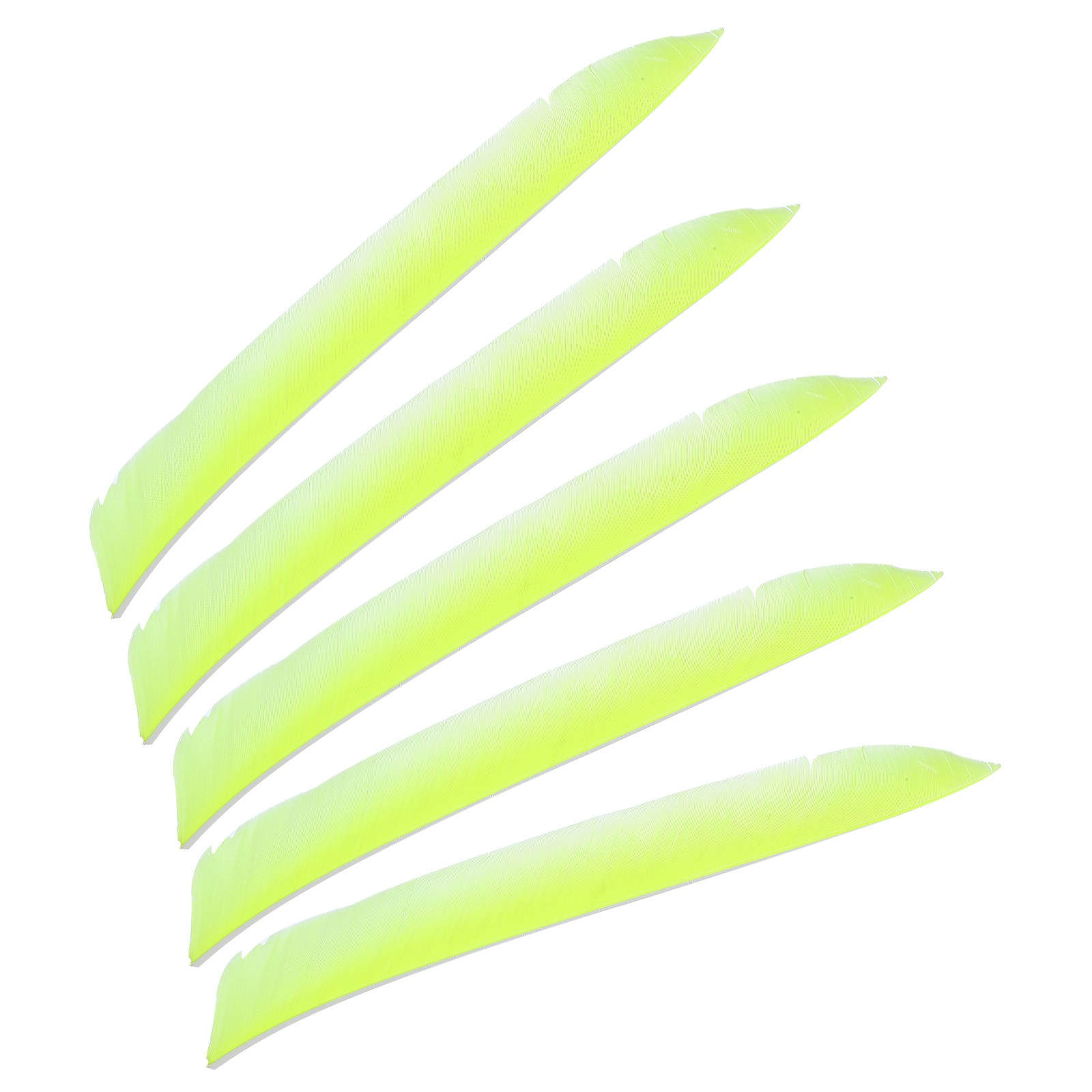 50pcs Arrows Vanes 11 Inch Turkey Feather Right Wing, Fluorescent Yellow