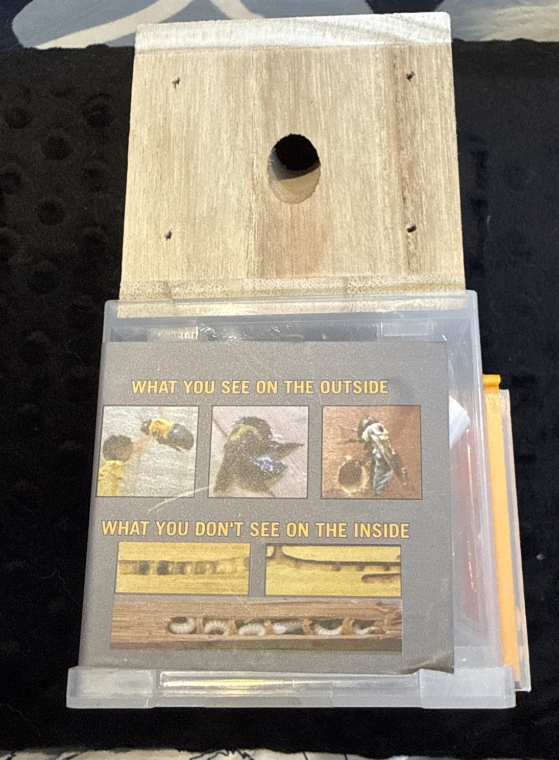 Bees 'N Things Outdoor Carpenter Bee Traps 🆕