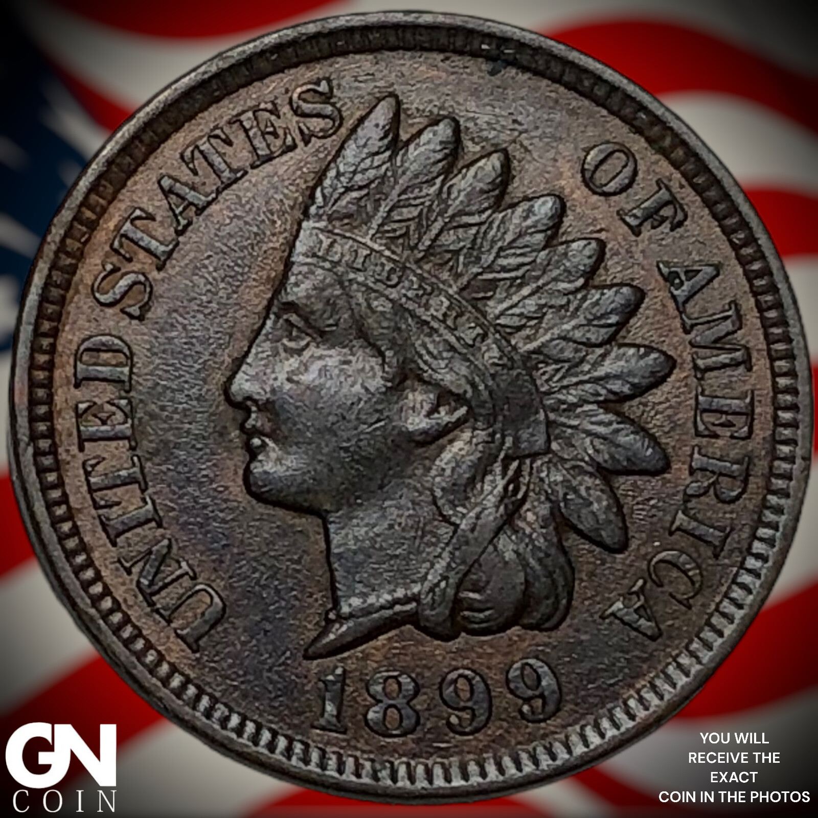 1899 Indian Head Cent Penny X6822