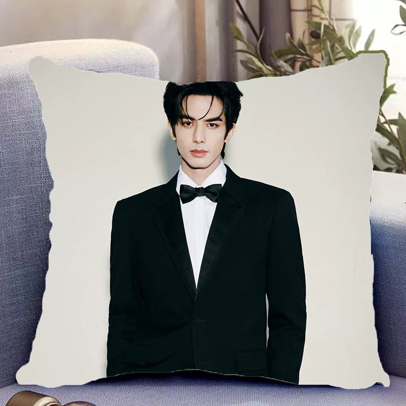 ALL Song Weilong's double-sided photo pillow CASE No padding 45*45cm FANS LOVE