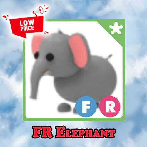 FR Elephant - Adopt right now