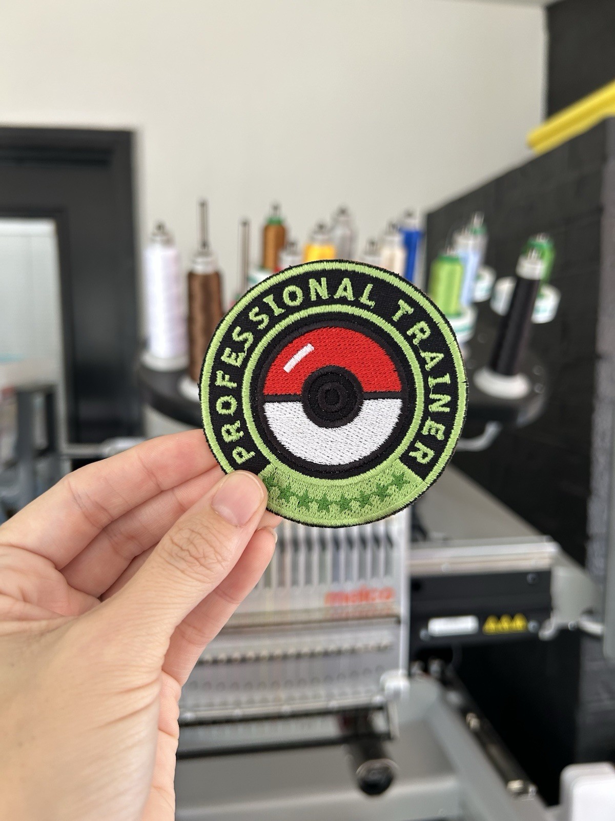 Professional Pokemon Trainer Poke-ball Iron On Patch, Choose Your Pokemon Type!
