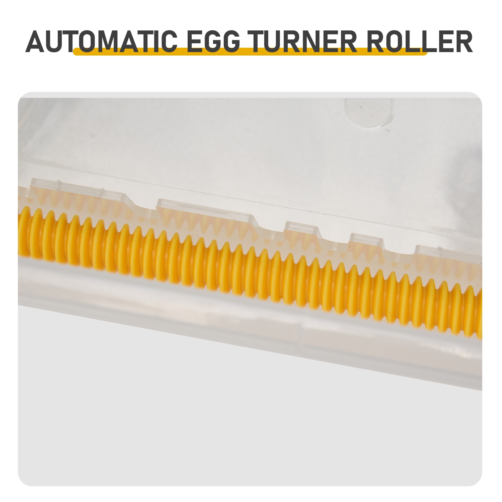 24-36 eggs capacity (single layer),PP material,fully automatic egg turning