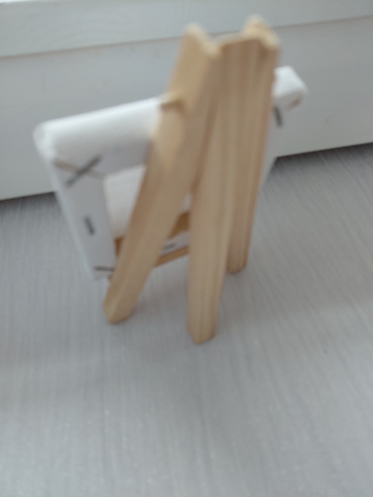 4x Mini Canvas & Easels