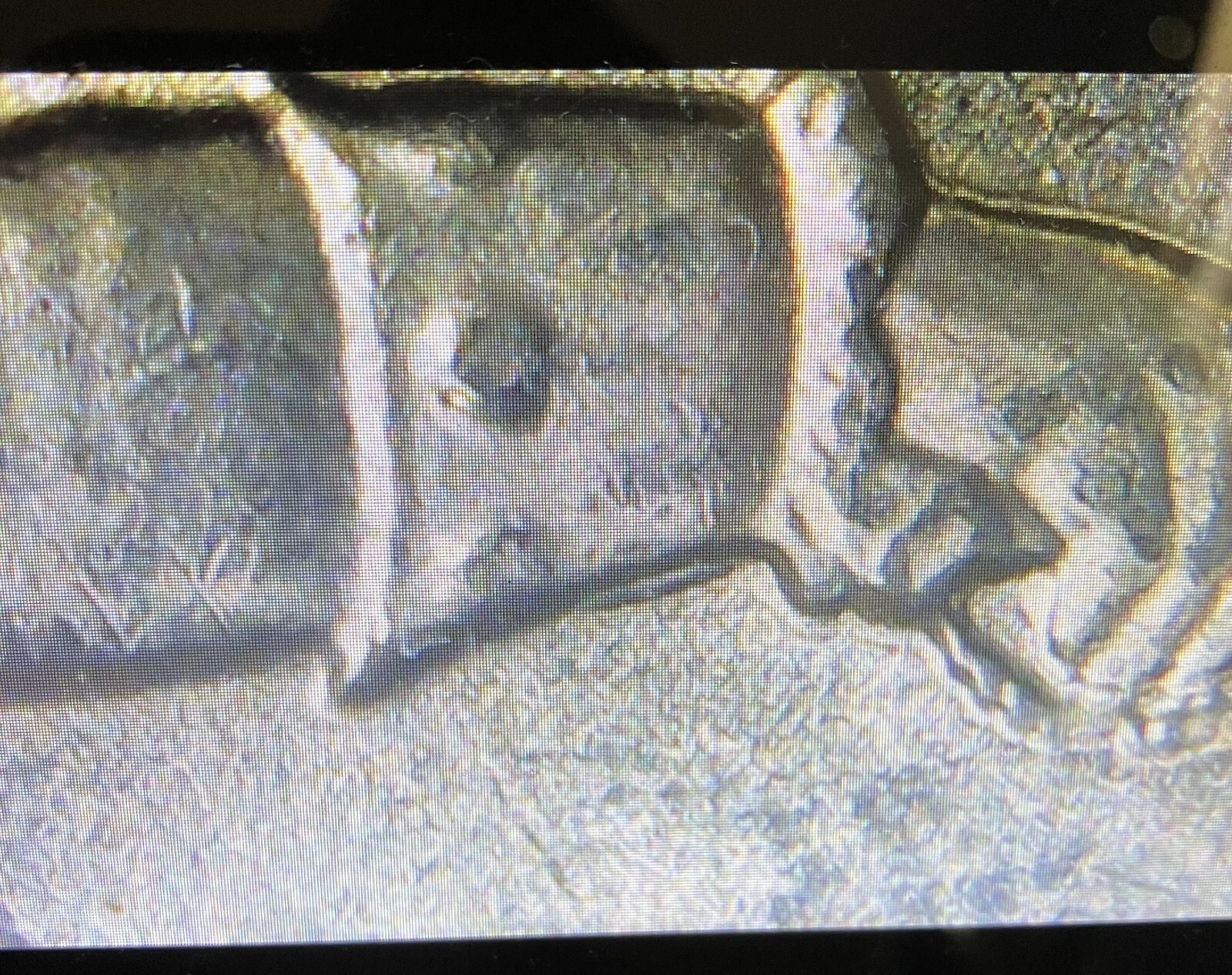 2021 P Crossing The Delaware Quarters Struck Through, DDR Errors