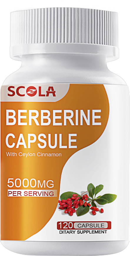 Berberine HCL Premium Extract Ceylon Cinnamon Antioxidant 5000mg 120 Capsules