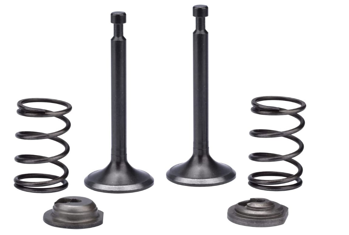 Intake Exhaust Valve Spring Set For Powerland PD10000E Gas Generator