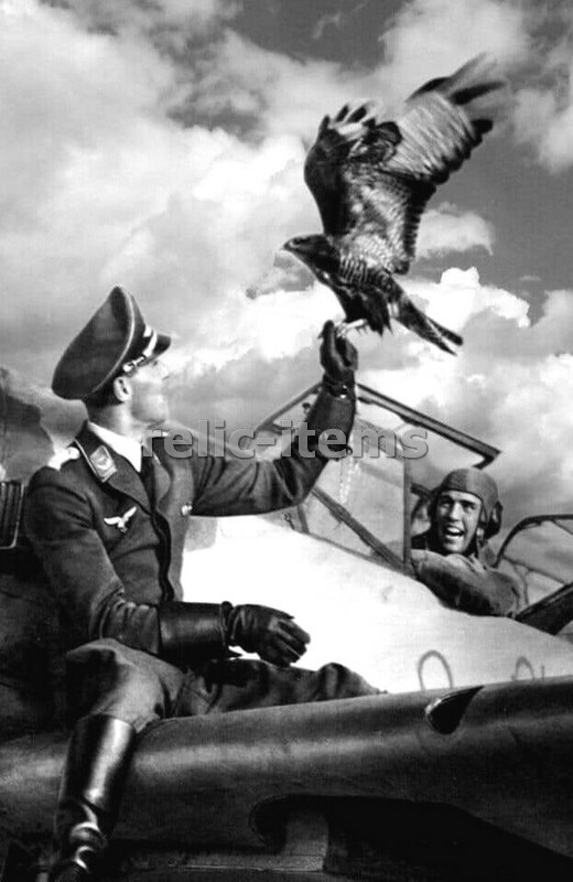 WW2 PICTURE PHOTO GERMAN  LUFTWAFFE PILOT WITH HIS EAGLE 6357