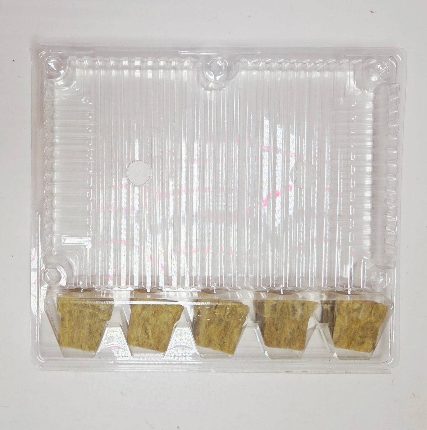 Live Plant Clone Shipper 5 Cell Tall Cutting Clamshell Packaging 15 Pack