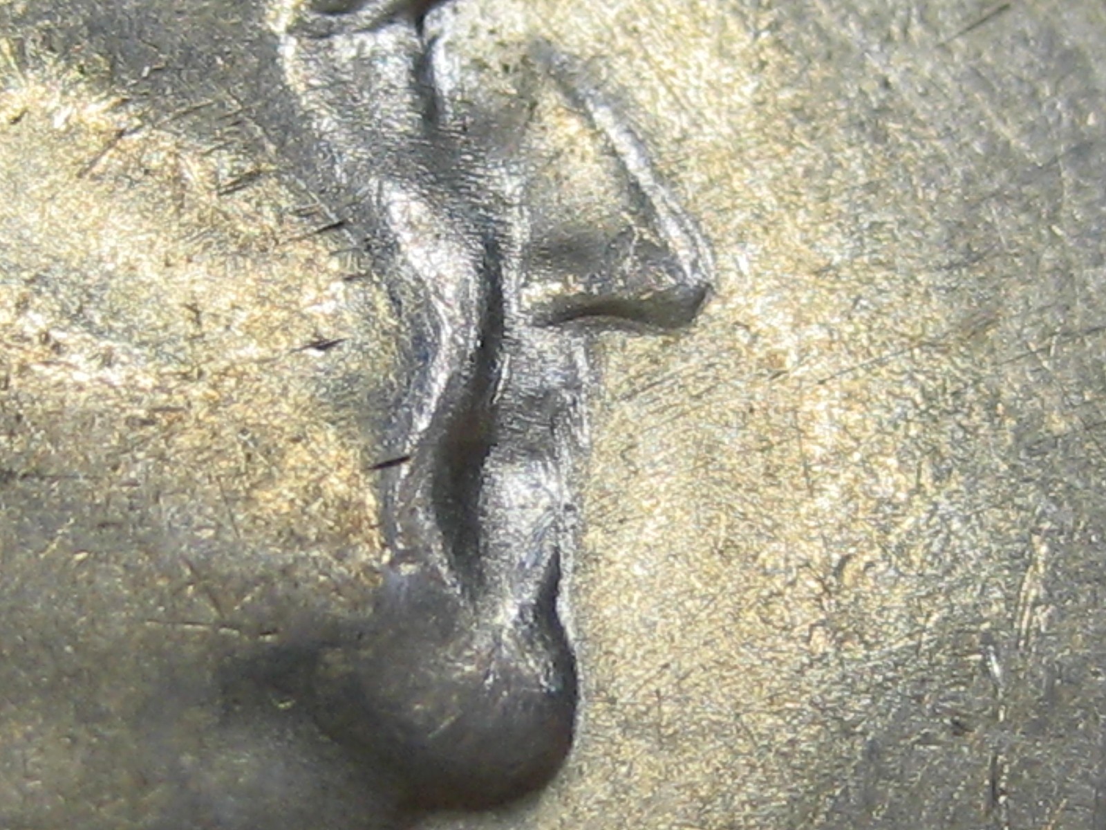 1955 Silver Half dollar "Bugs Bunny" in AU circulated condition.