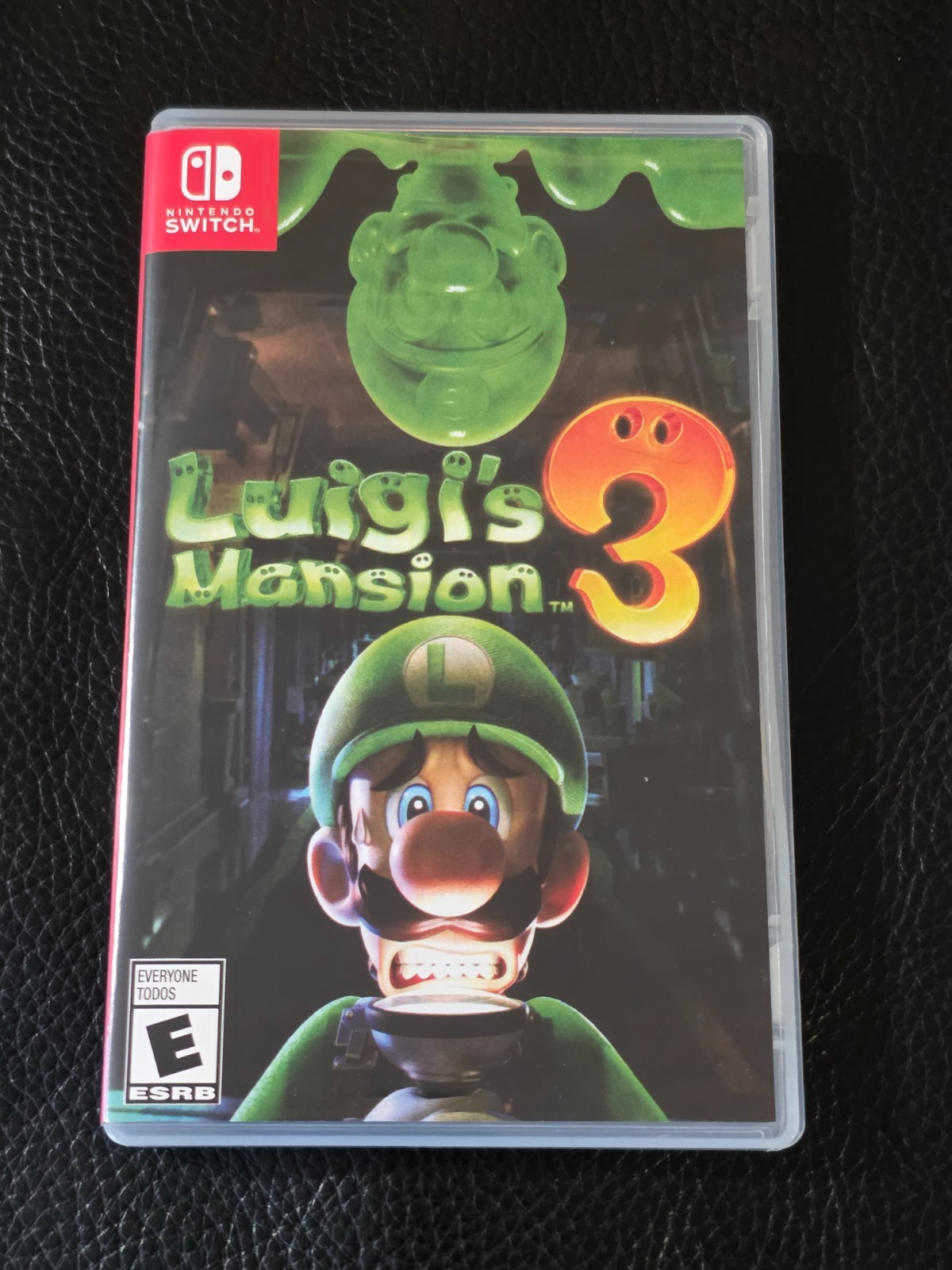 Switch Case Replacement Nintendo Switch Luigi's Mansion 3