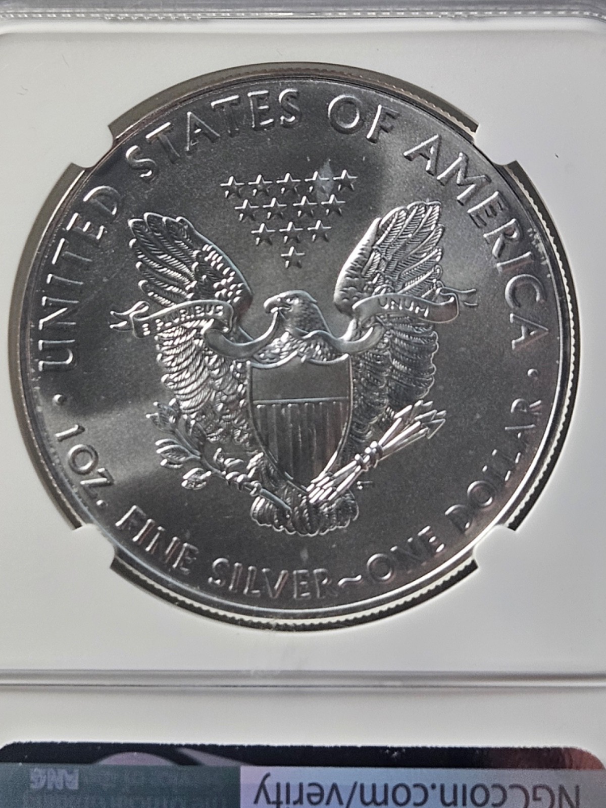 2020 Silver Eagle NGC MS69