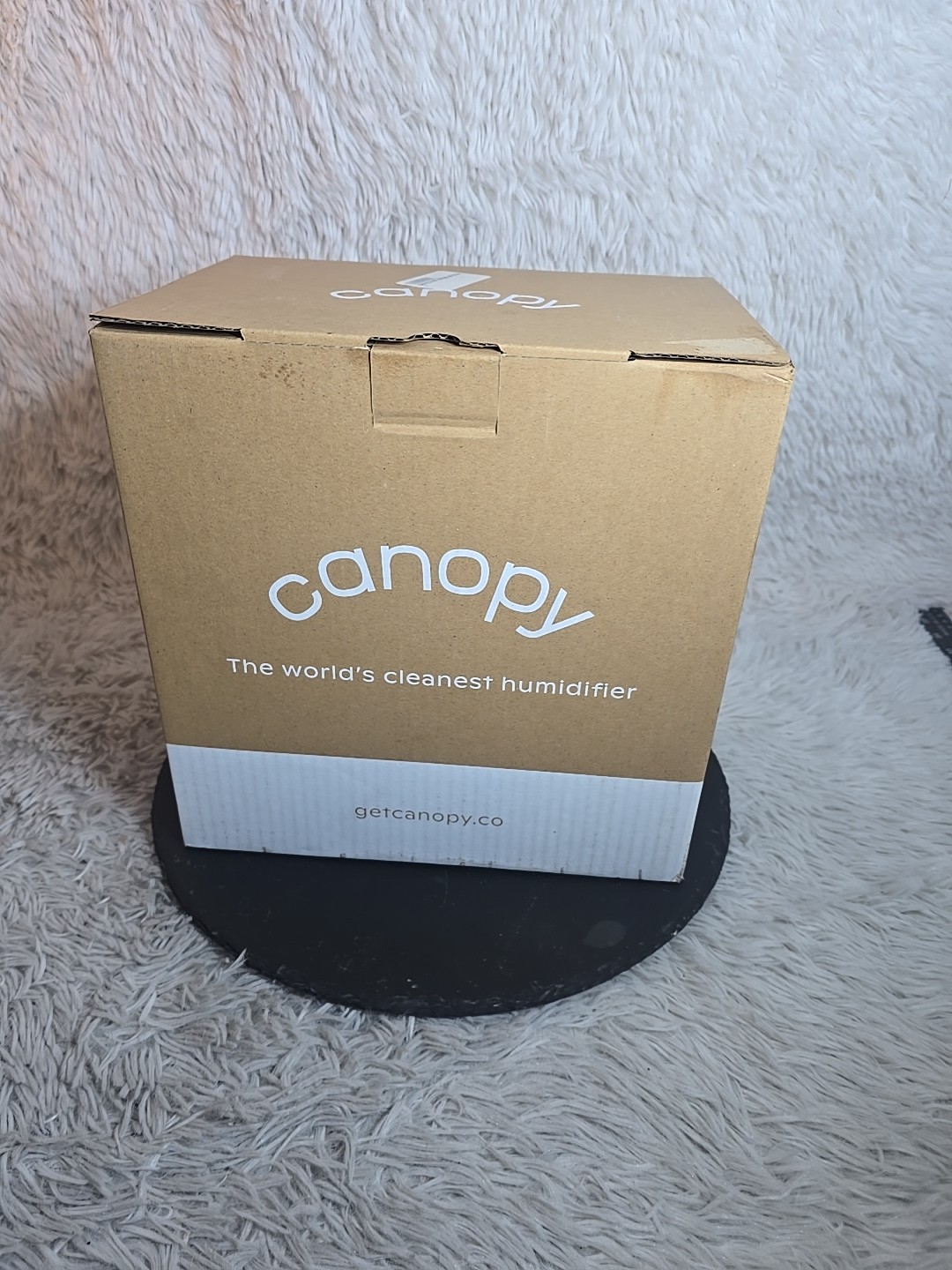 Canopy The World's Cleanest Humidifier