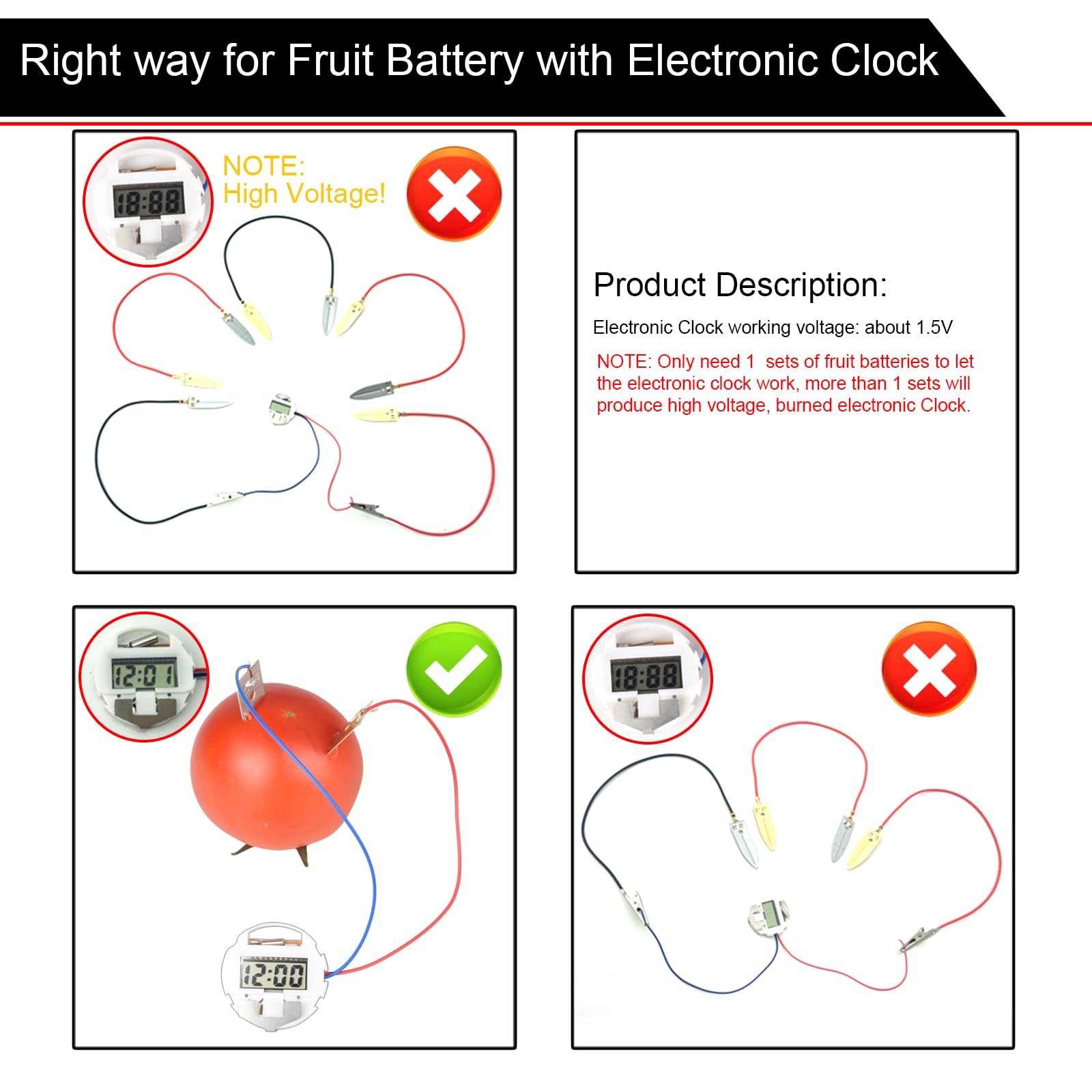 Fruit Battery Science Experiment Kit for DIY School Home Teaching Equipment, ...