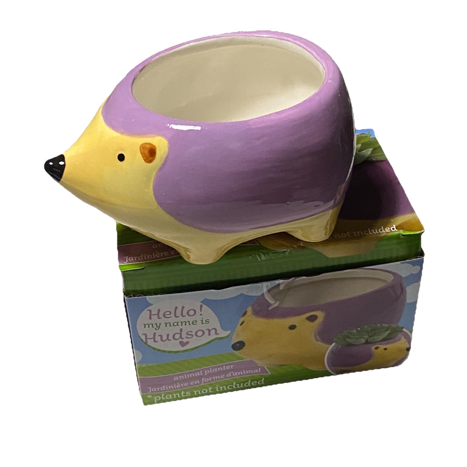 Hudson the Hedgehog Small Animal Planter for Succulents Cactus with Box