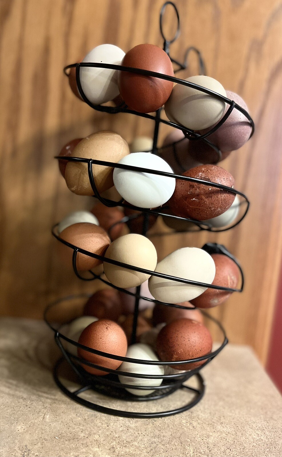 Hatching Eggs RAINBOW LAYERS / OLIVE EGGERS 10+2 NPIP Pure Breeds possible Dozen