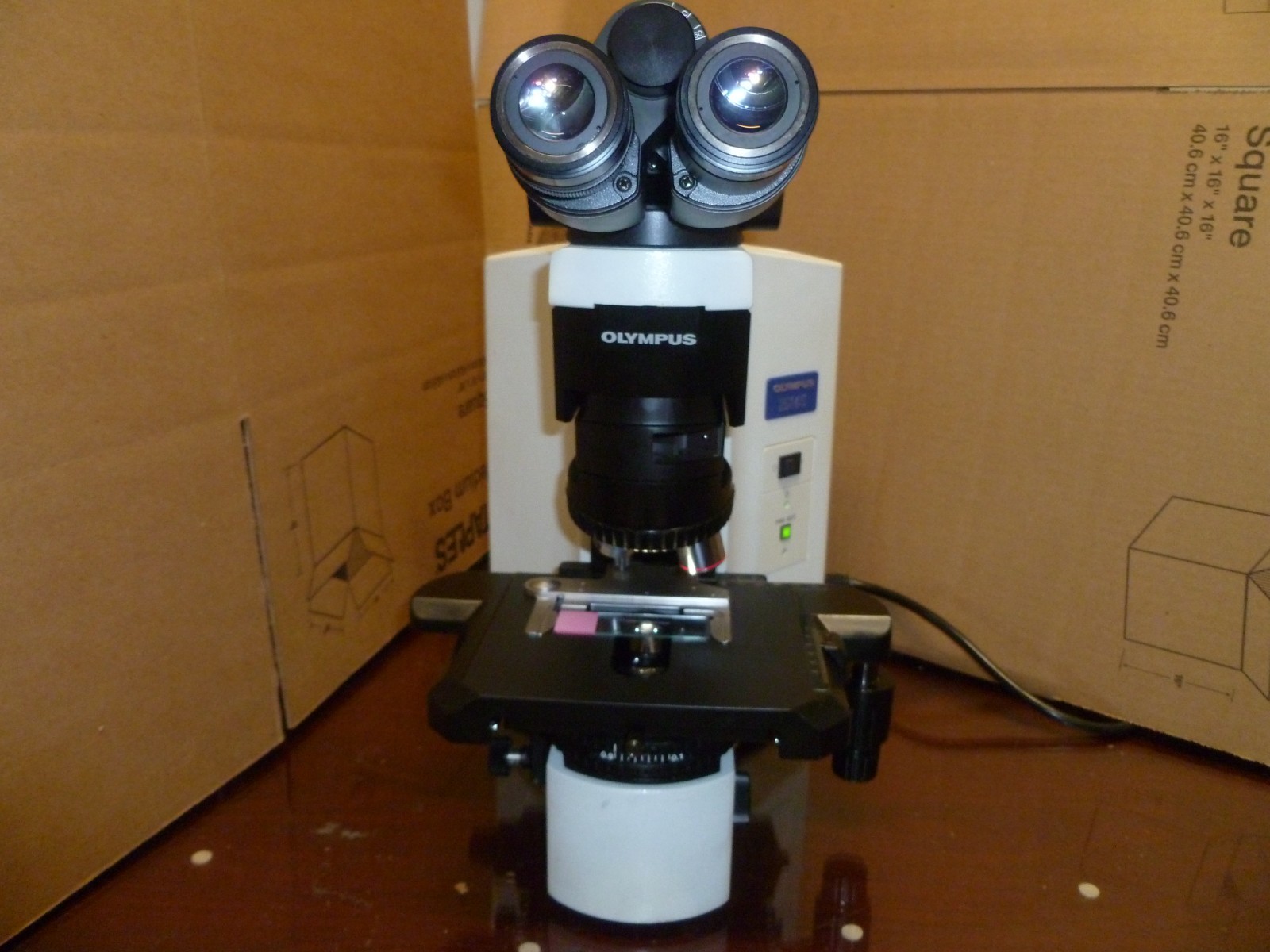 Olympus BX41 trinocular microscope