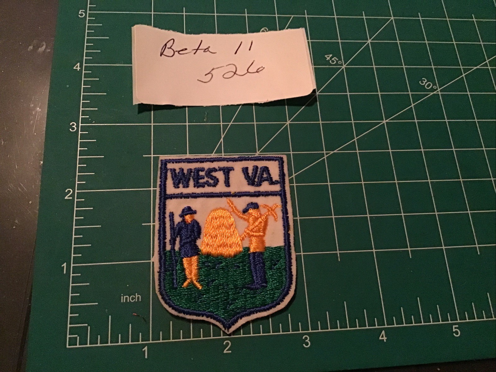 Patch Travel Souvenir tourist state vintage West VA. Virginia Felt