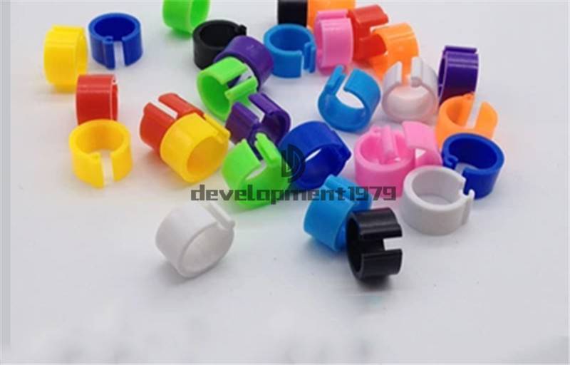 10 Colors 100 Bird Leg Bands 8mm Pigeon Chicken Parrot Bantam Poultry Rings
