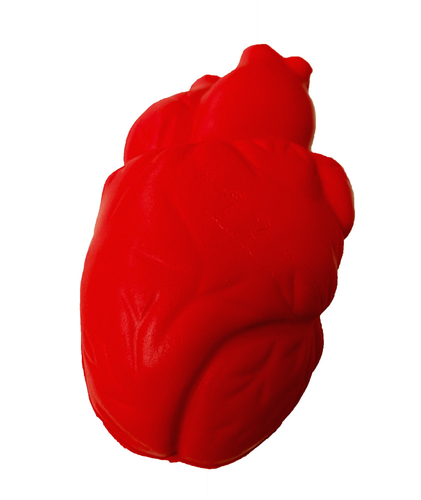 Stress Relief Squeezable Foam Brain & Heart