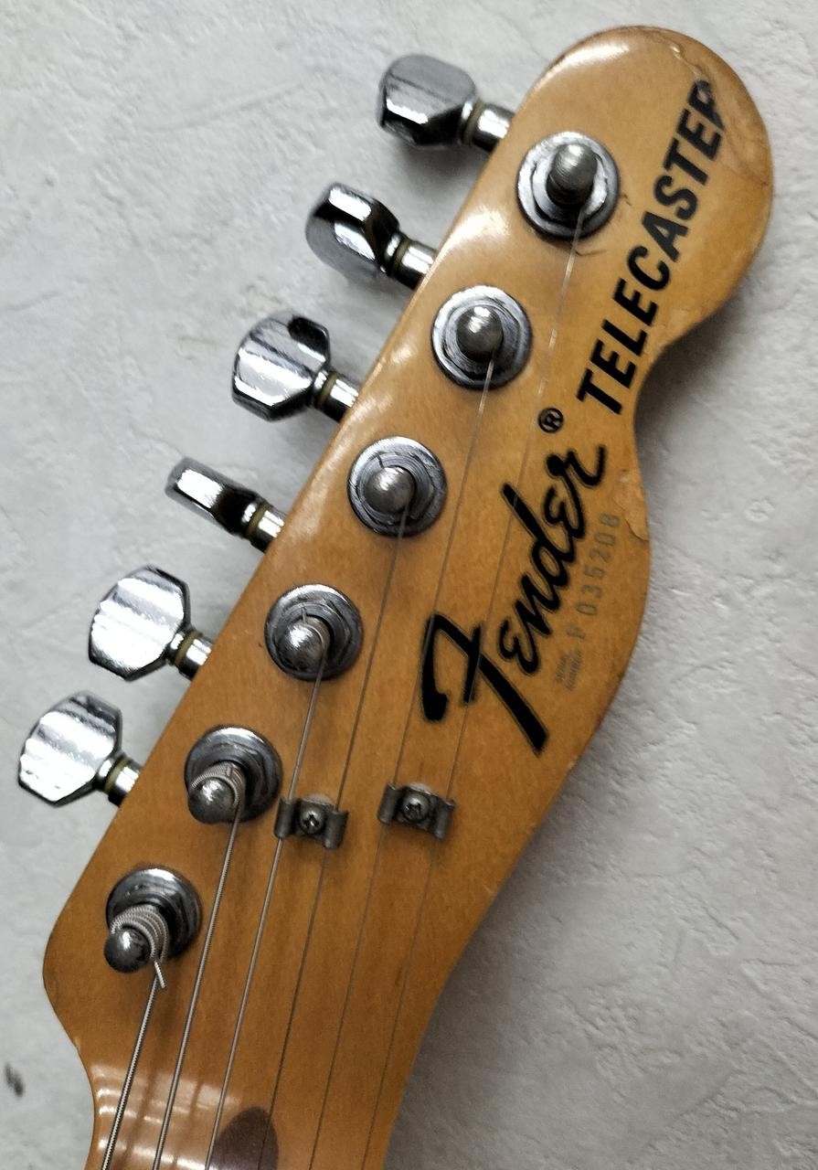 FENDER TL72-55 (NO251005)