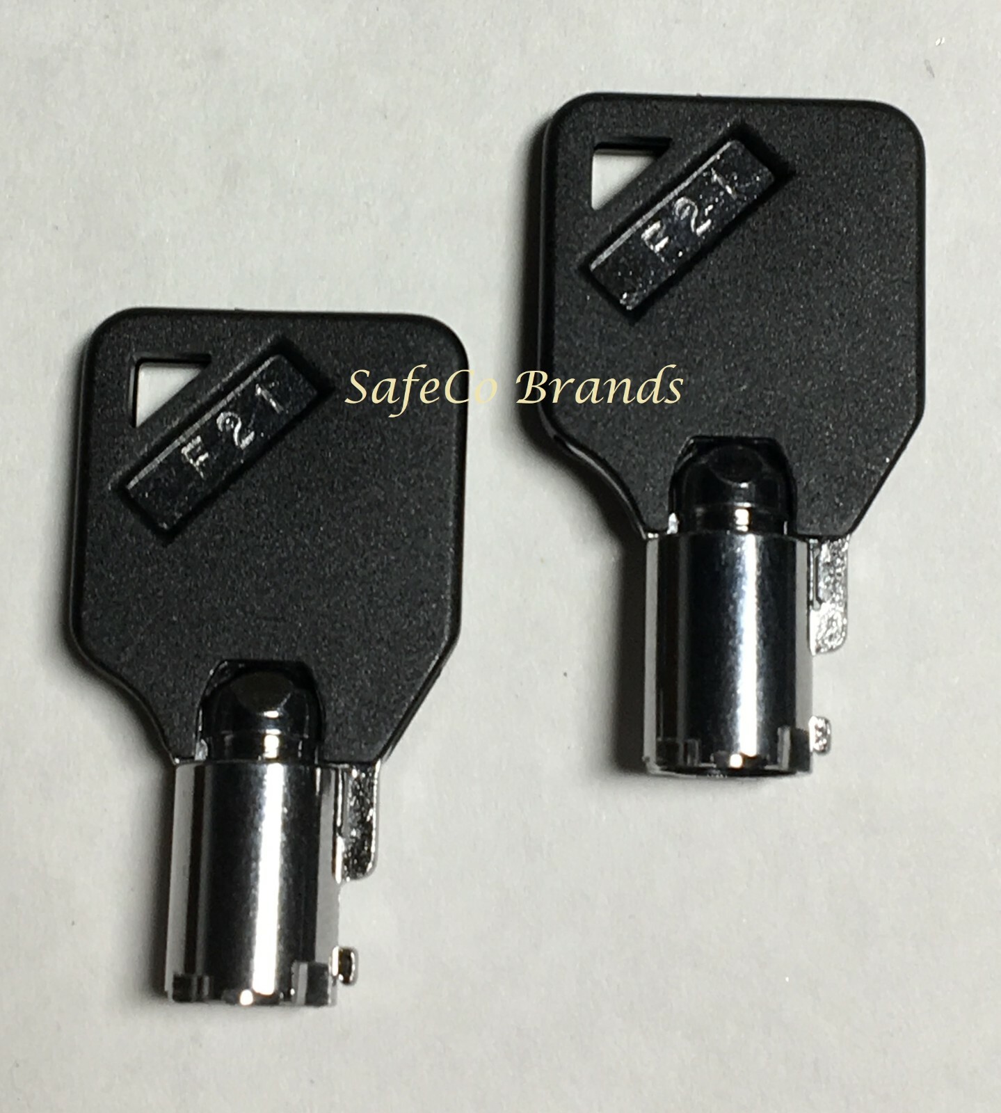 2 Black Head Keys for Homak Gun Safes and Tool Boxes Key Series F00 - F24 2-Keys
