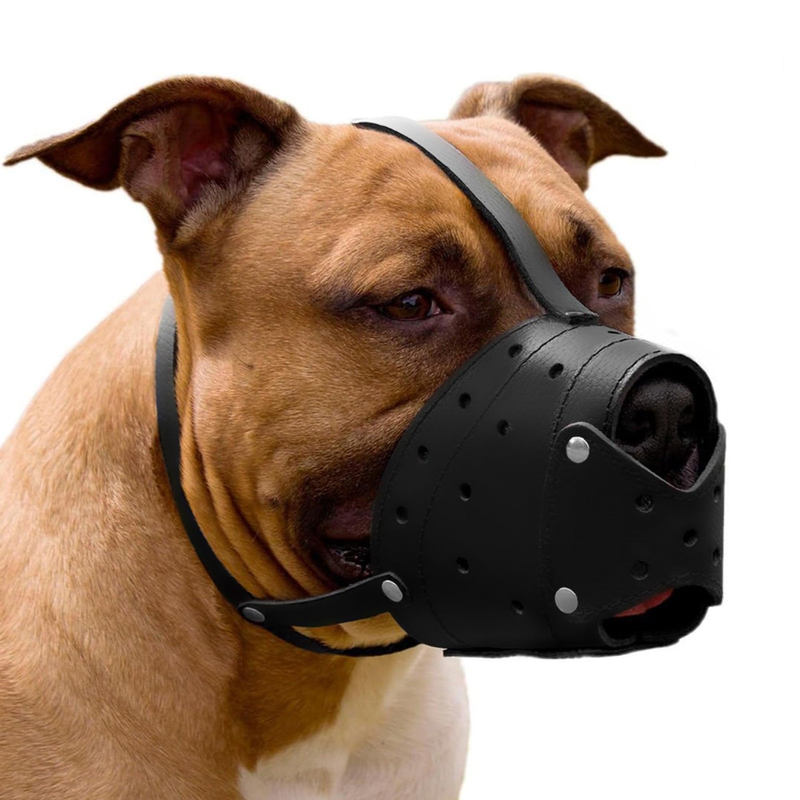 Pitbull Dog Muzzle Leather with Adjustable Straps, Basket Anti Black