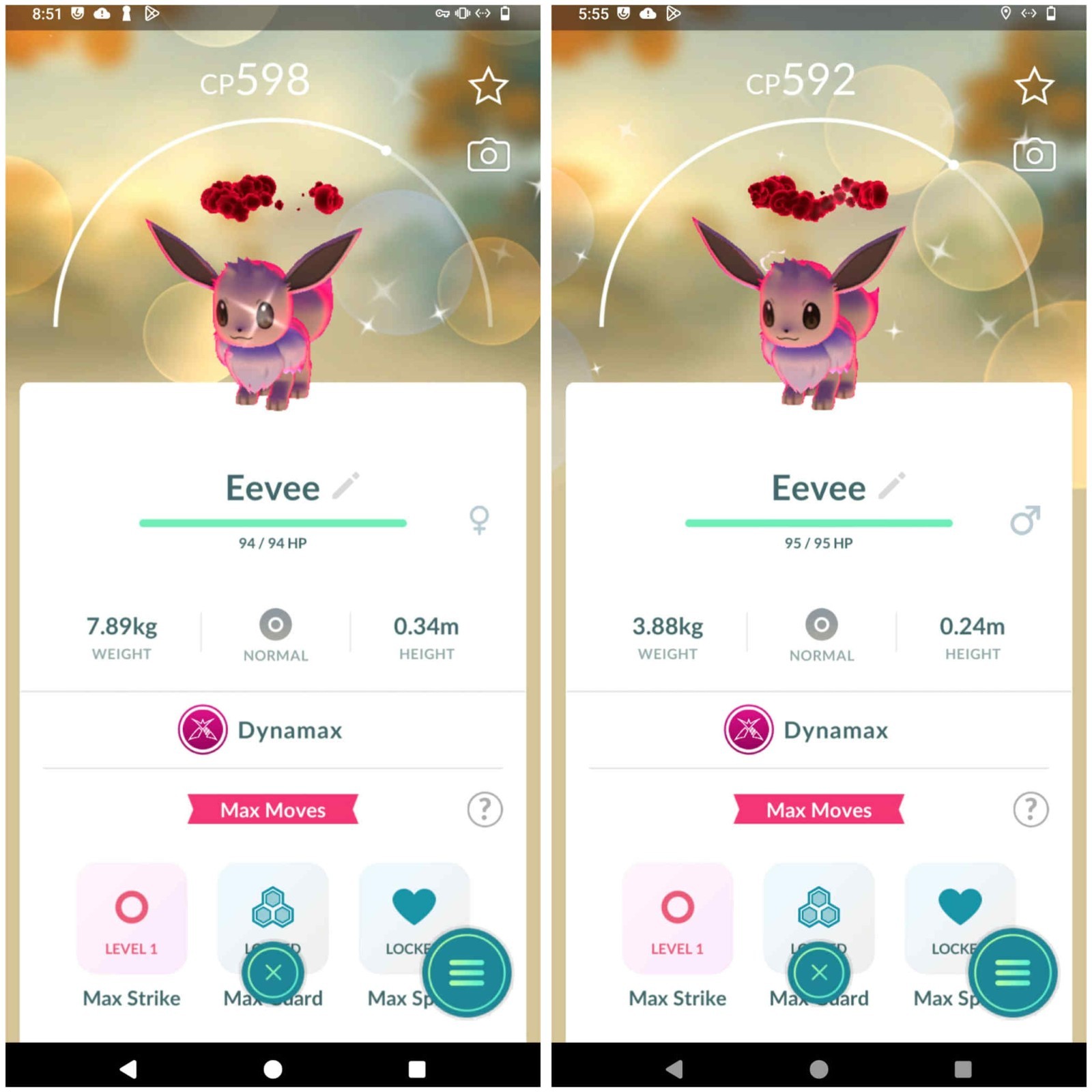 ✨Shiny Dynamax Eevee Female - Male ✨ - P T C -  Description